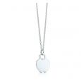 Tiffany Apple Tag Pendant on an 16" chain